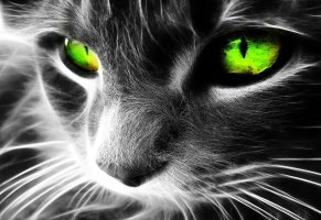 шерсть,графика,кот,зеленые глаза