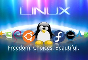linux,Линукс,Ос