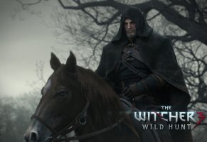 the witcher 3 wild hunt,геральт,ведьмак