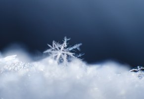 кристалл,макро,снежинка,узор,снег