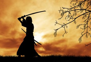 меч,дерево,безмятежность,ветки,природа,воин,самурай,утро,катана