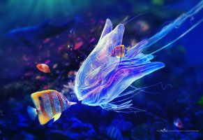 подводный мир,медуза,рыбки