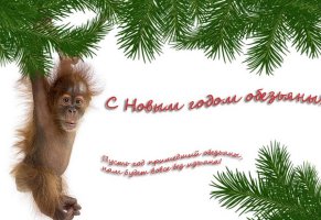 новый год,обезьяна,пожелание