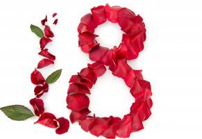 листочки,лепестки,женский день,красные,8 марта,белый фон,поздравление,розы