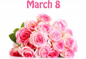цветы,розовый,розы,8 марта,праздники