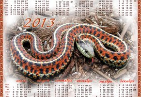 2013,новый год,змеи,календарь