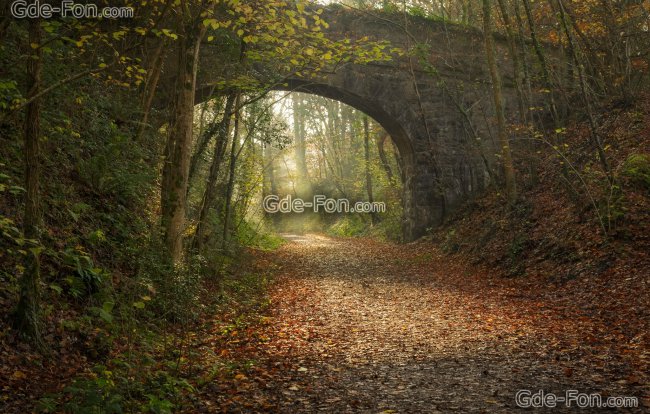 лес,осень,дорога,листья,мост,арка