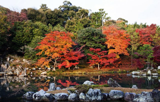осень,пруд,япония