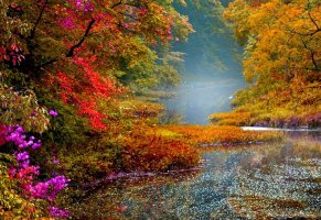 река,осень,природа,деревья,пейзаж,листва