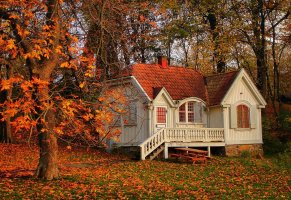 дом,осень,деревья,листья,природа,пейзаж,дерево