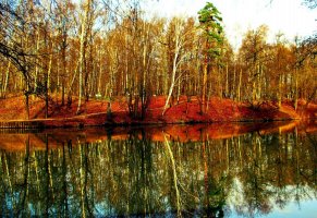 река,лес,природа,берёзы,осень