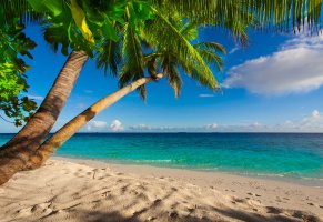 пляж,sand,tropical,palms,shore,пальмы,песок,sea,берег,paradise,summer,beach,море