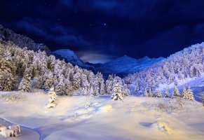снег,Зима,небо,звёзды,лес