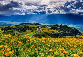 тайвань,цветы,горы,китай,пейзаж,панорама,taiwan,деревня,china,облака