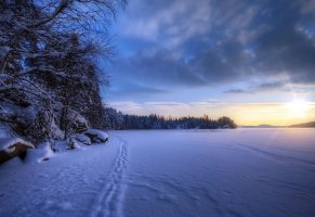 поле,пейзаж,снег,Зима