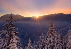 лесогорье,природа,Зима,мороз
