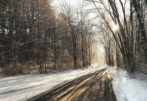 дорога,лес,Зима