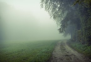 утро,деревья,туман,поле,дорога