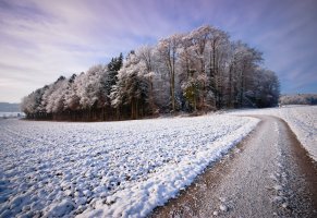 дорога,Зима,деревья,снег,лес