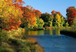 осень,деревья,берег,река