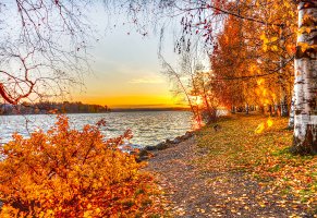 пейзаж,природа,деревья,озеро,листья,осень,закат