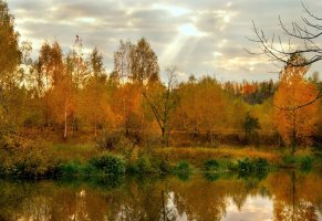осень,природа,озеро,желтые листья,деревья