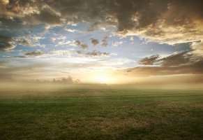 туман,утро,поле,трава,газон,природа,облака