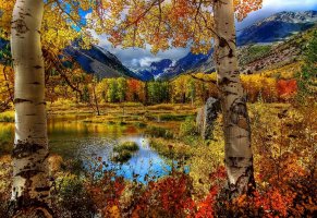 небо,пейзаж,деревья,осень,трава,горы,облака,озеро,листья,природа