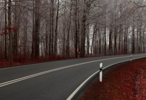 идеальная дорога,трасса,красная осень,поворот