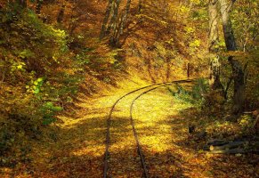 пути,в лесу,усыпано листьями,осень,шпалы