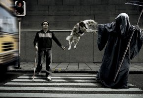 смерть,собака,пешеход,слепой,автобус