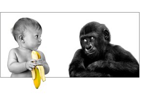 младенец,приколы,обезьяна,банан