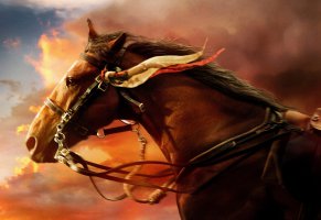 war horse,боевой конь,конь