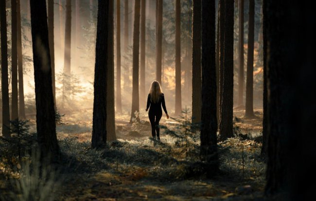 девушка,лес,туман