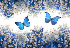 flowers,цветы,blossom,blue,бабочки,butterflies,white