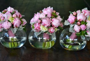 вазы,аквариум,букеты,пионы,цветы