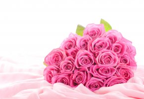 розовые розы,розовые цветы,цветы,розы,букет