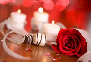 роза,цветок,конфеты,свечи