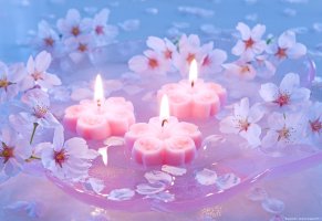 свечи,японская вишня,цветы