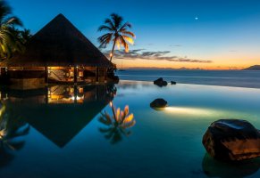 отражение,бассейн,красиво,курорт,океан,пальмы
