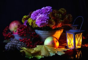 ягоды,яблоки,астры,рябина,фонарь,цветы,клён,горшок,листья,натюрморт,фрукты,осень