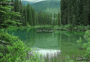 canada,rocky mountains,emerald lake