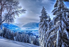 деревья,пейзаж,Зима,снег,горы