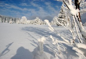 Зима,шумава,горы,снег,лес,national park