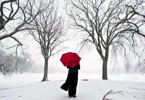 деревья,снег,девушка,Зима,зонт