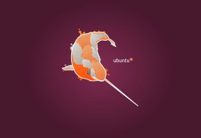 linux,ubuntu,narval