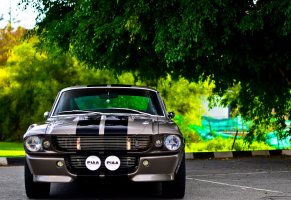 eleanor,shelby,american,classic,exotic,gt500,ford