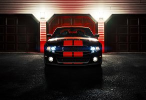 ford,gt500,shelby,ronaldo stewart photography,mustang,cobra