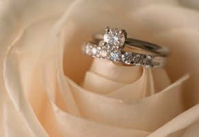 цветы,кольцо,крупным планом,украшения,свадьба,роза