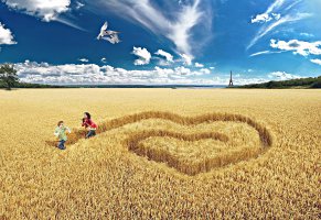 поле пшеницы,птицы,природа,дети,солнечный день,сердце